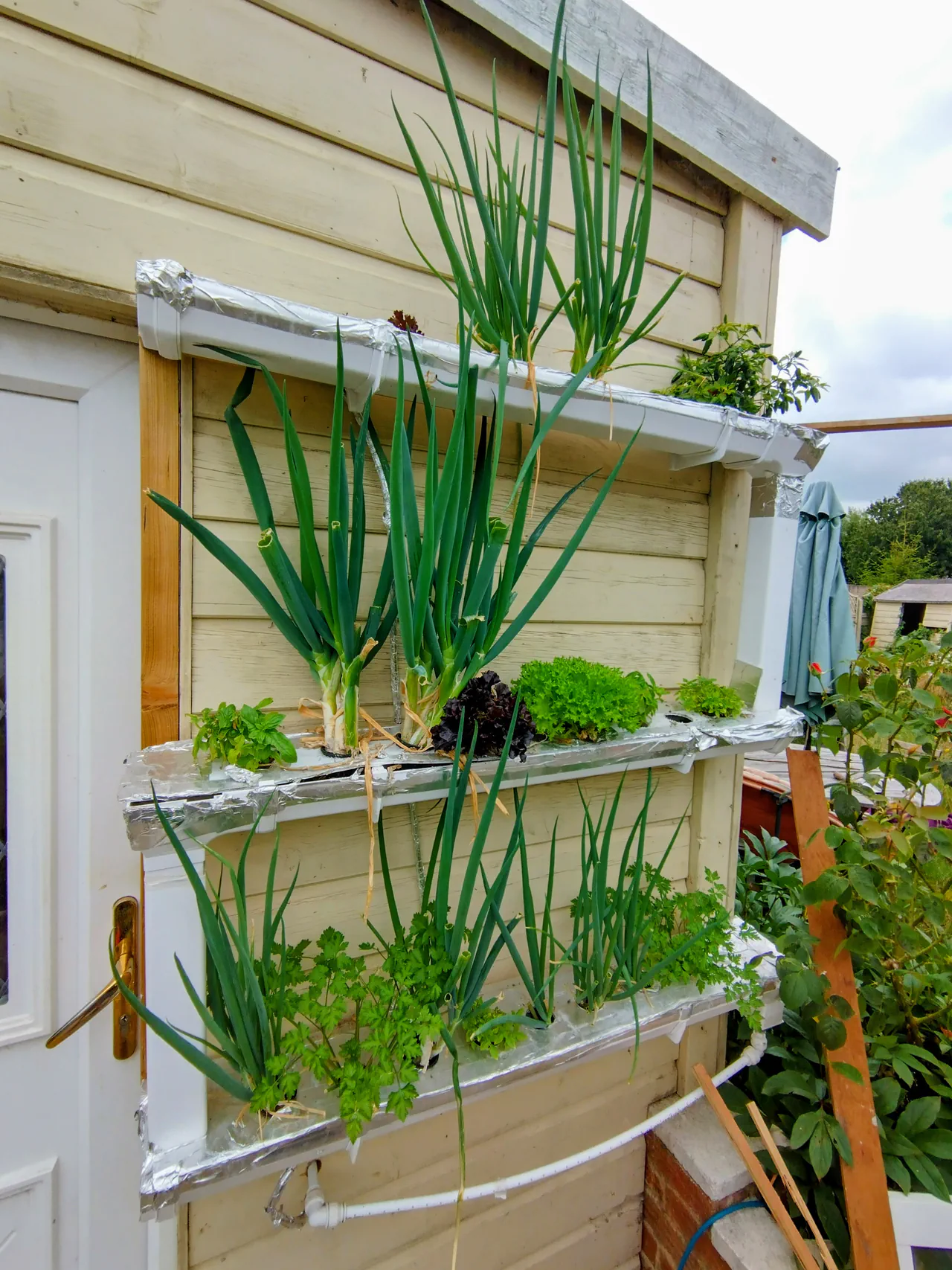 Three-tier NFT hydroponic herb wall loaded with spring onions, lettuce, and herbs