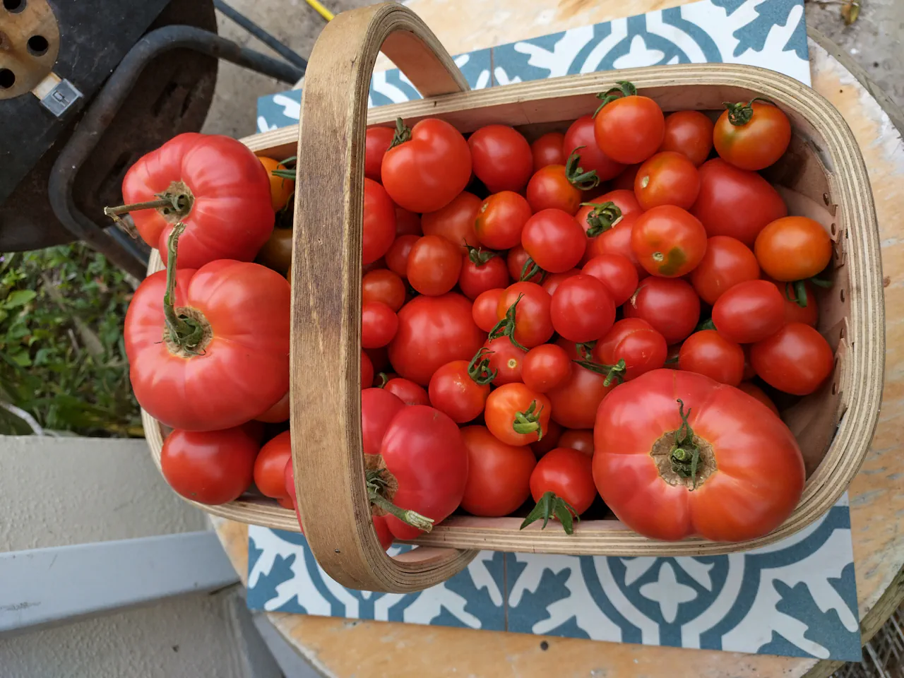 Wooden trug overflowing with freshly harvested tomatoes