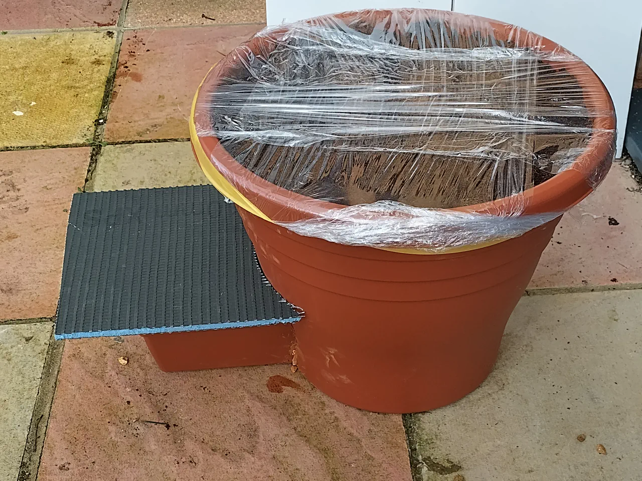 Completed wicking planter with cling film humidity dome, trough reservoir visible on the side